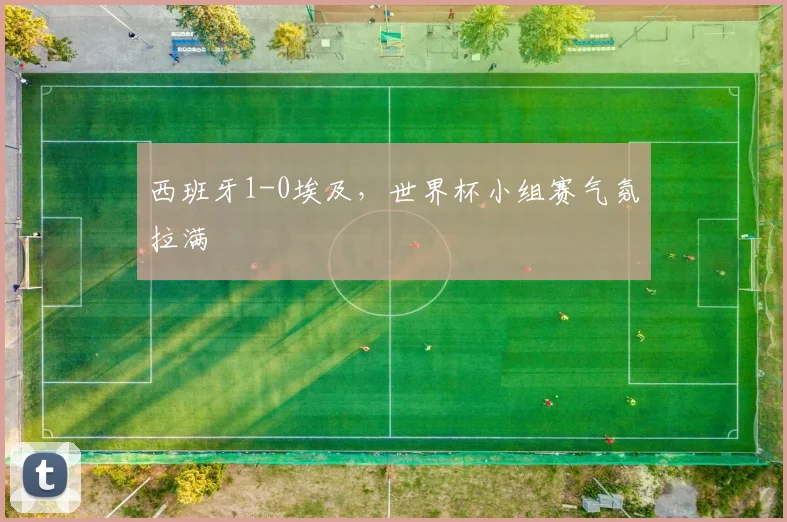 西班牙1-0埃及，世界杯小组赛气氛拉满