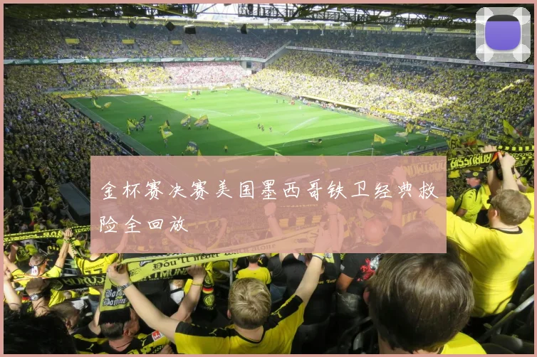金杯赛决赛美国墨西哥铁卫经典救险全回放