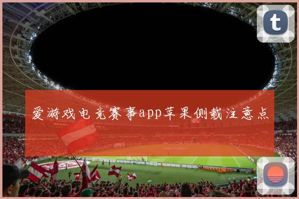 爱游戏电竞赛事app苹果侧载注意点