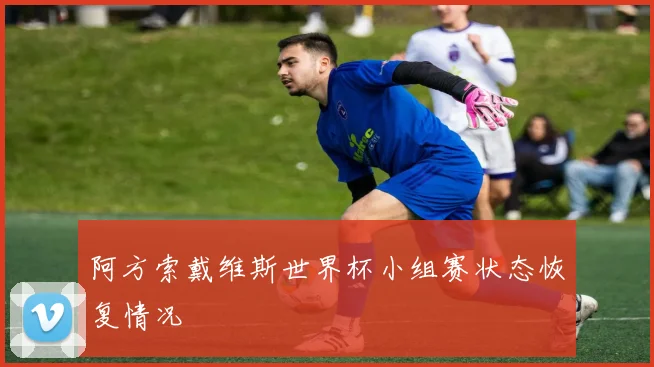 阿方索戴维斯世界杯小组赛状态恢复情况